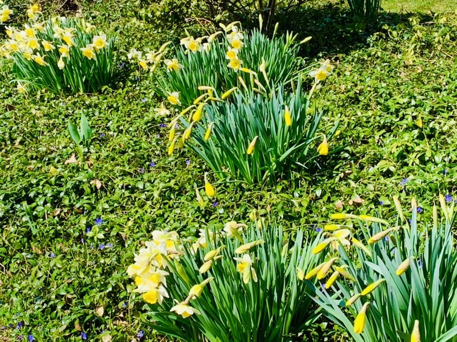 IMG_4316.jpg?type=w966