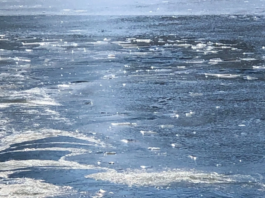 IMG_6623.jpg?type=w966