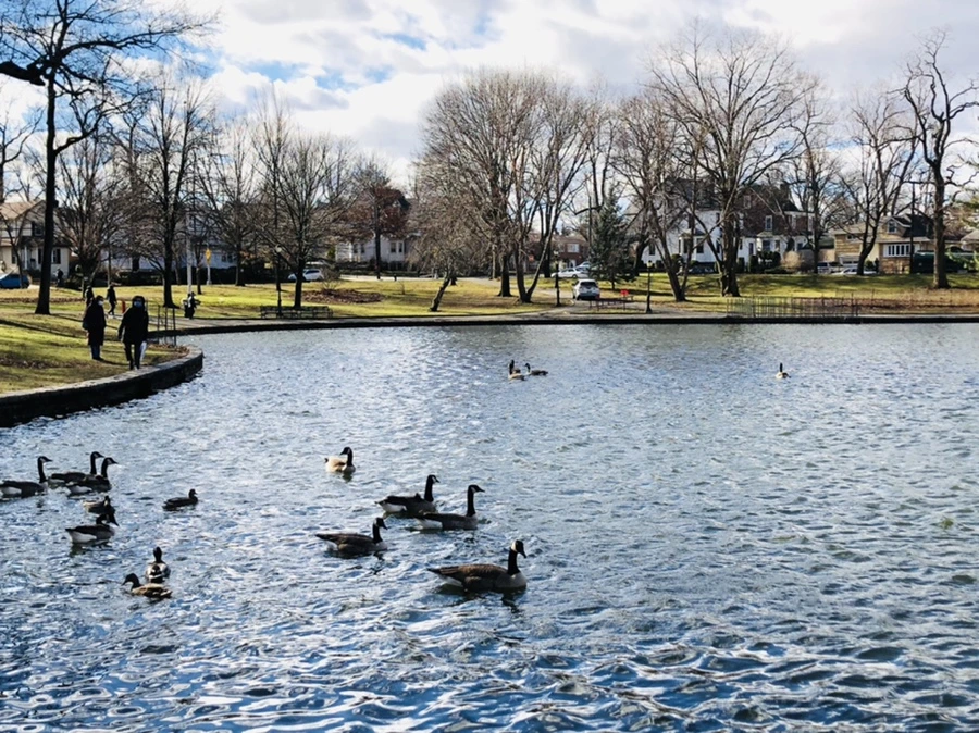 IMG_9214.jpg?type=w966