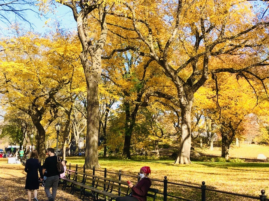 IMG_4252.jpg?type=w966