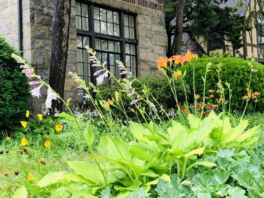 IMG_0142.jpg?type=w966