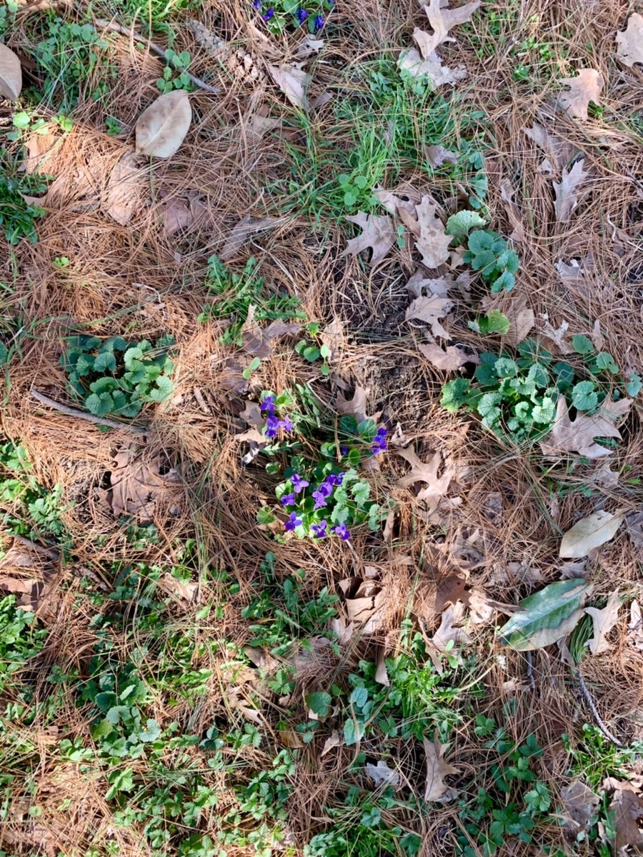 IMG_5736.jpg?type=w966