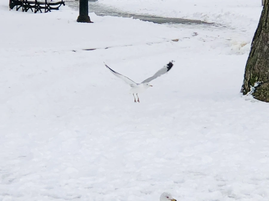 IMG_3851.jpg?type=w966