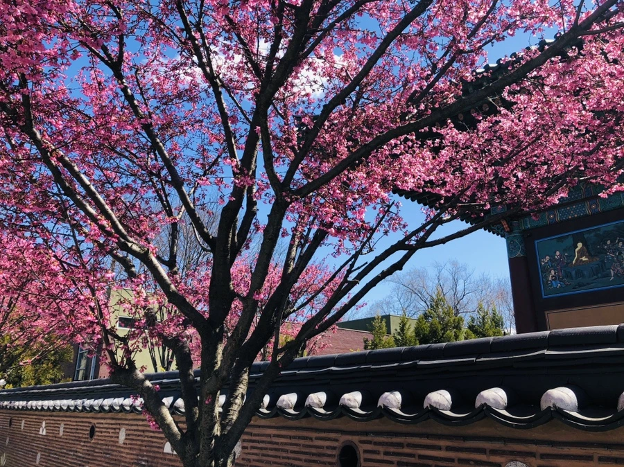 IMG_2163.jpg?type=w966