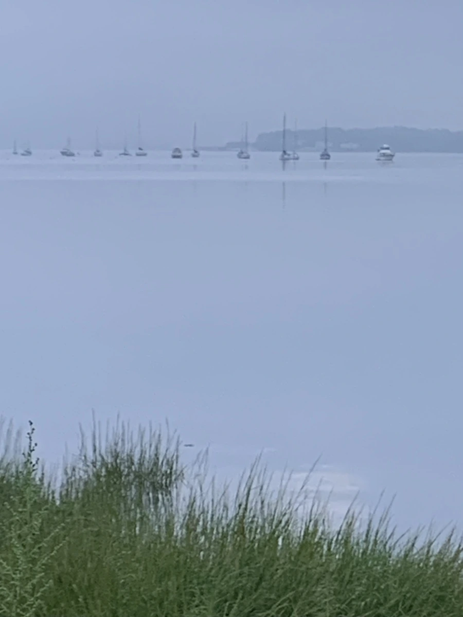 IMG_6657.jpg?type=w966