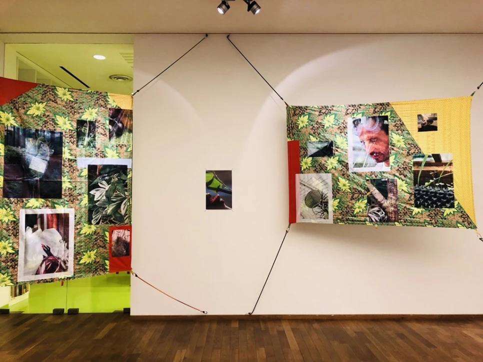 IMG_9630.jpg?type=w966