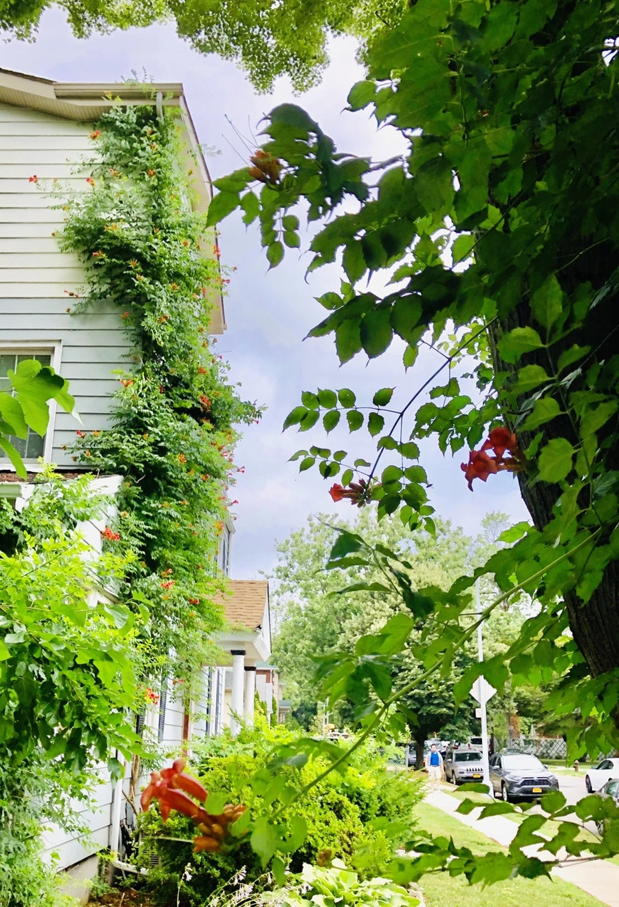 IMG_2185.jpg?type=w966