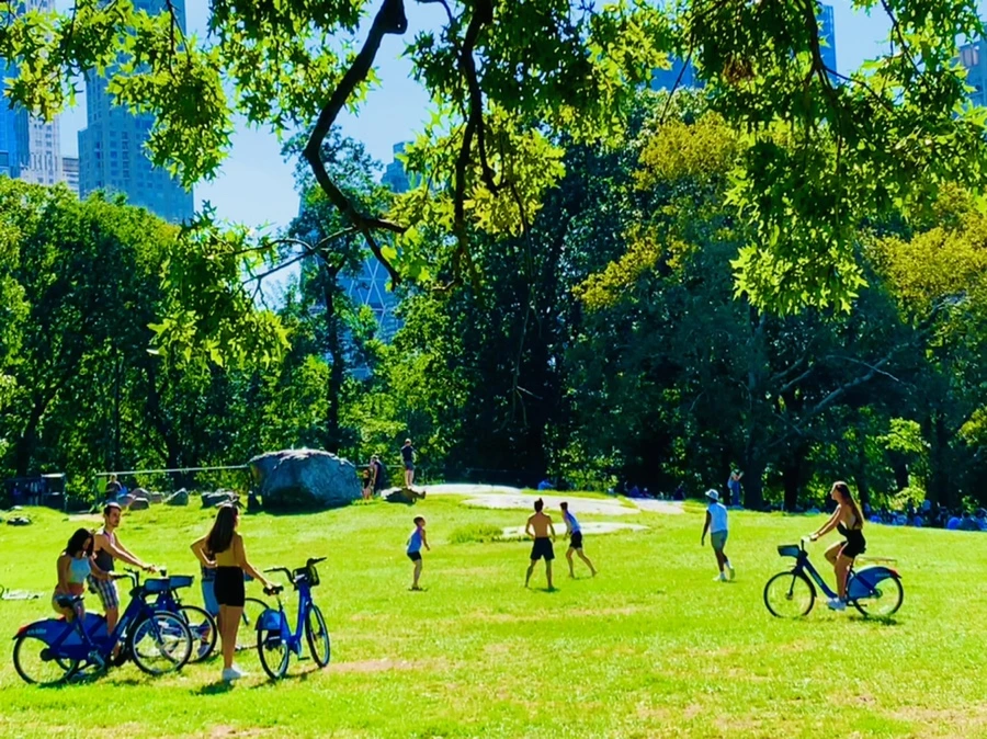 IMG_7619.jpg?type=w966