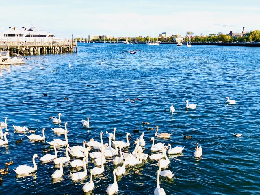 IMG_1406.jpg?type=w966