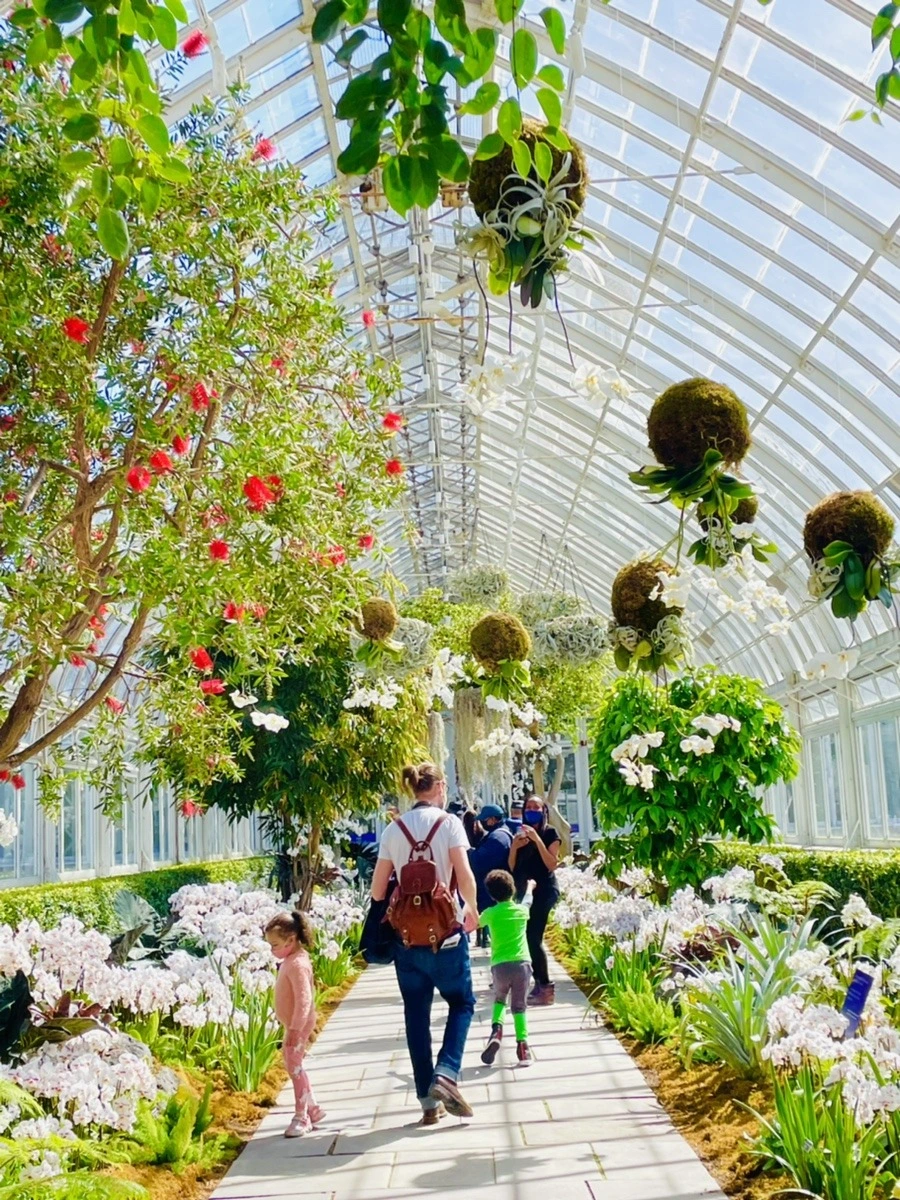 BmNhPv3z5ocCdHW0PpyVYfY2jPQ