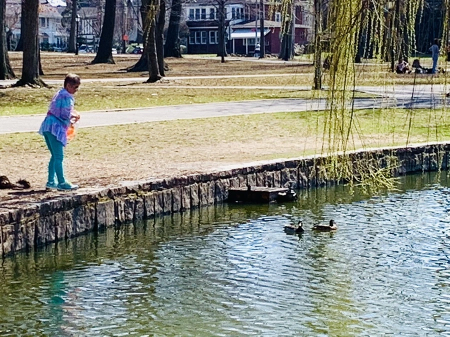 IMG_4451.jpg?type=w966