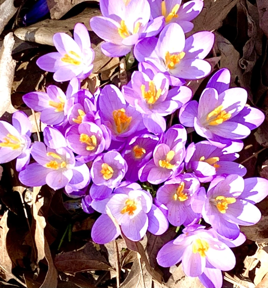 IMG_9779.jpg?type=w966