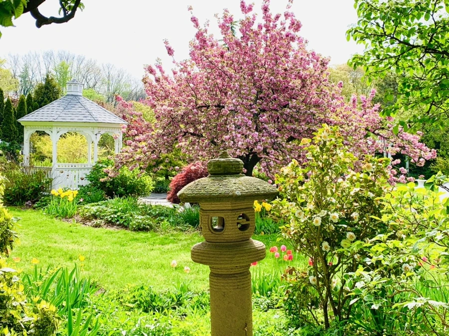 IMG_6927.jpg?type=w966