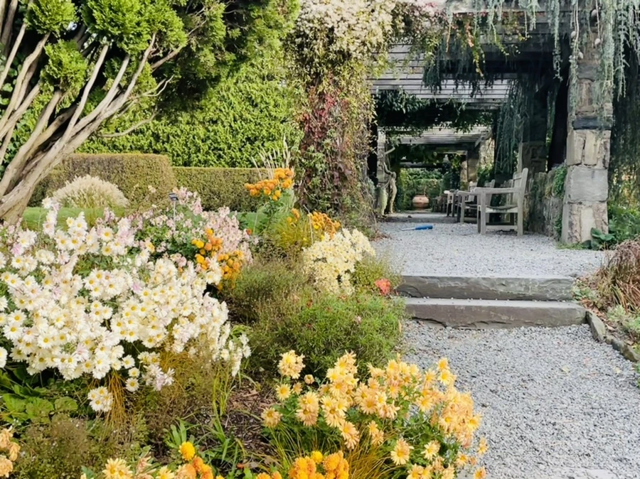 IMG_2395.jpg?type=w966