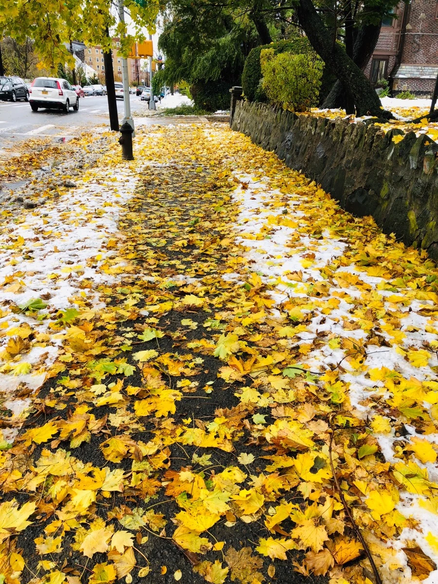 IMG_7799.jpg?type=w966