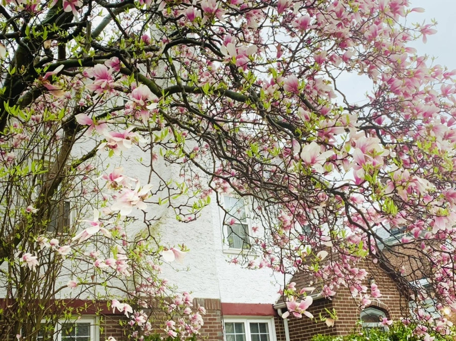 IMG_2249.jpg?type=w966