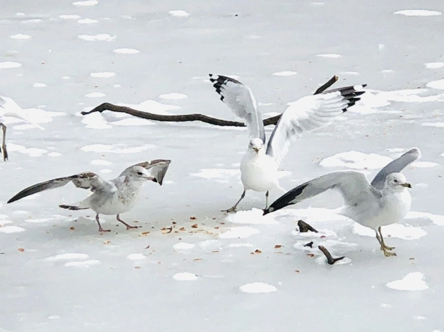 usLOlfm7hquqT9nxRUNx1HtqBFg