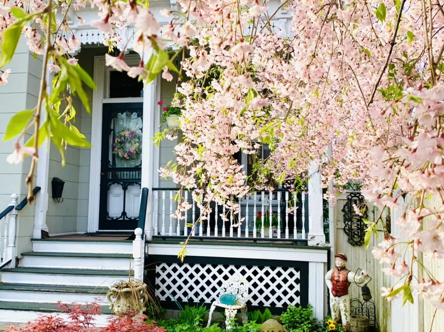 IMG_3740.jpg?type=w966