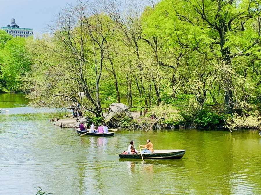 IMG_8823.jpg?type=w966