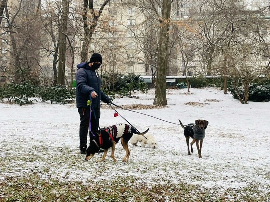 IMG_0737.jpg?type=w966