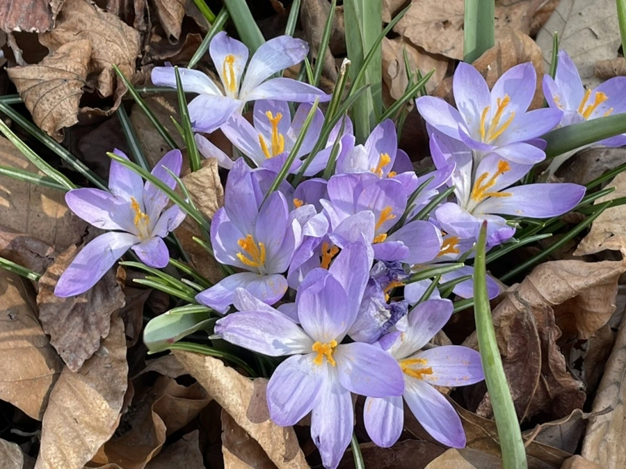 IMG_5342.jpg?type=w966