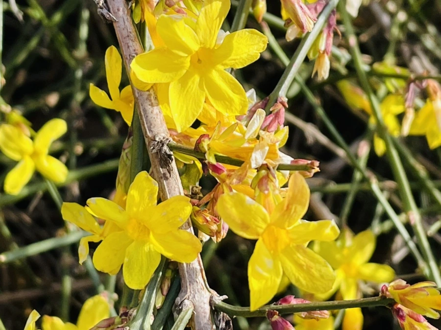 IMG_5389.jpg?type=w966