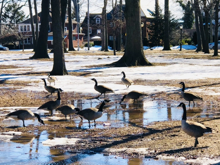 IMG_4987.jpg?type=w966