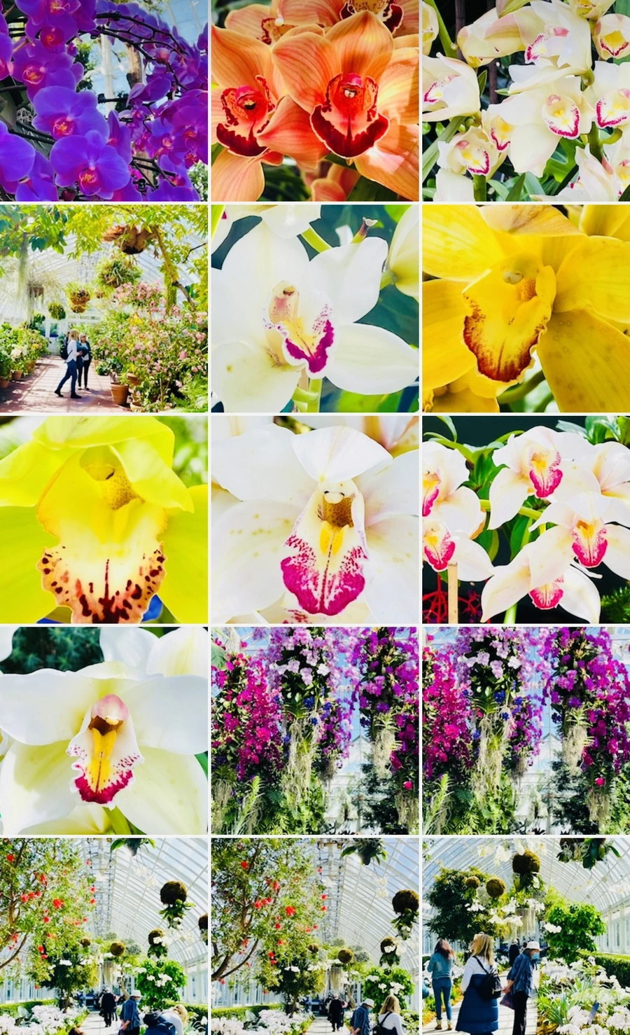 IMG_6774.jpg?type=w966