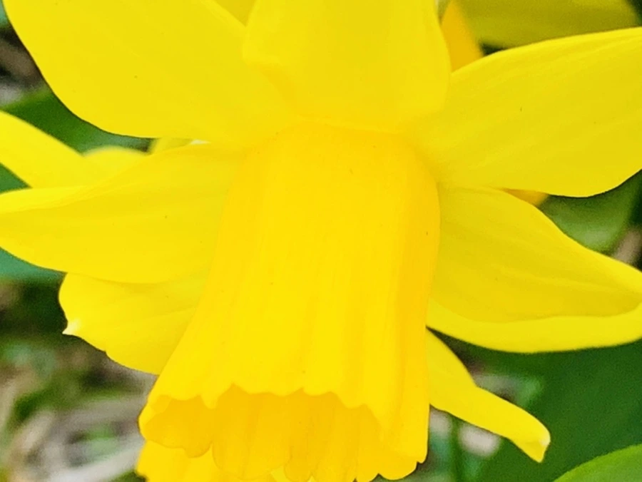 IMG_3472.jpg?type=w966