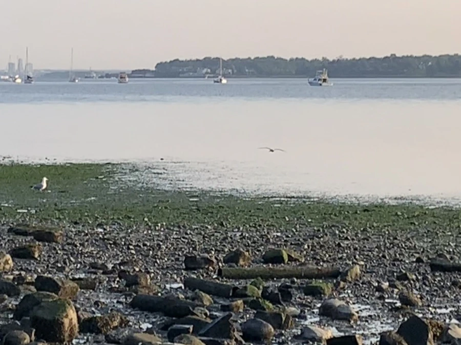 IMG_9764.jpg?type=w966