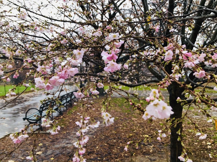 IMG_5724.jpg?type=w966