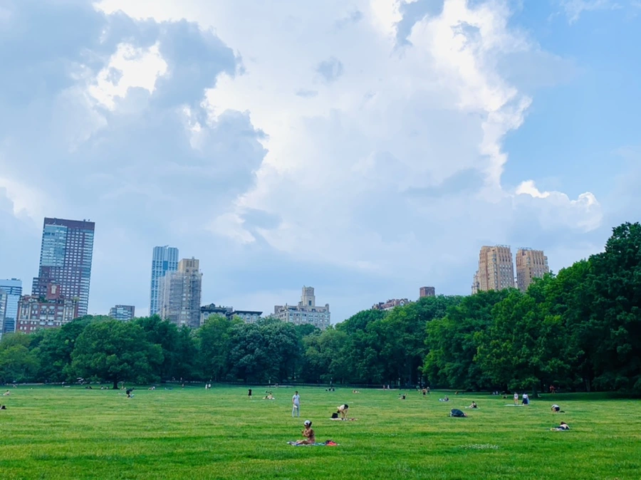 IMG_1646.jpg?type=w966