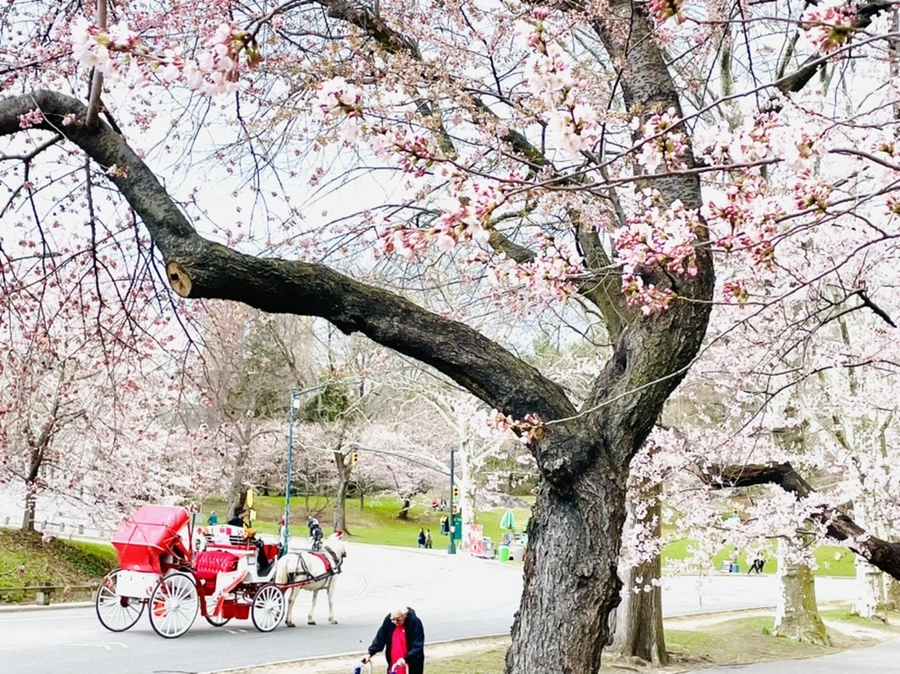 IMG_8186.jpg?type=w966