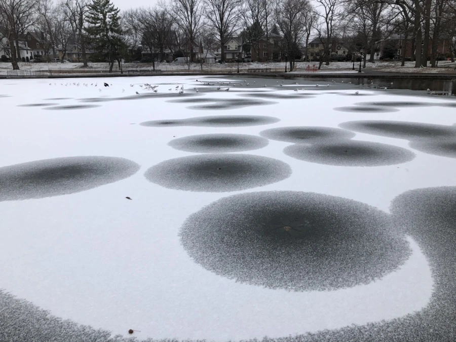 IMG_6181.jpg?type=w966