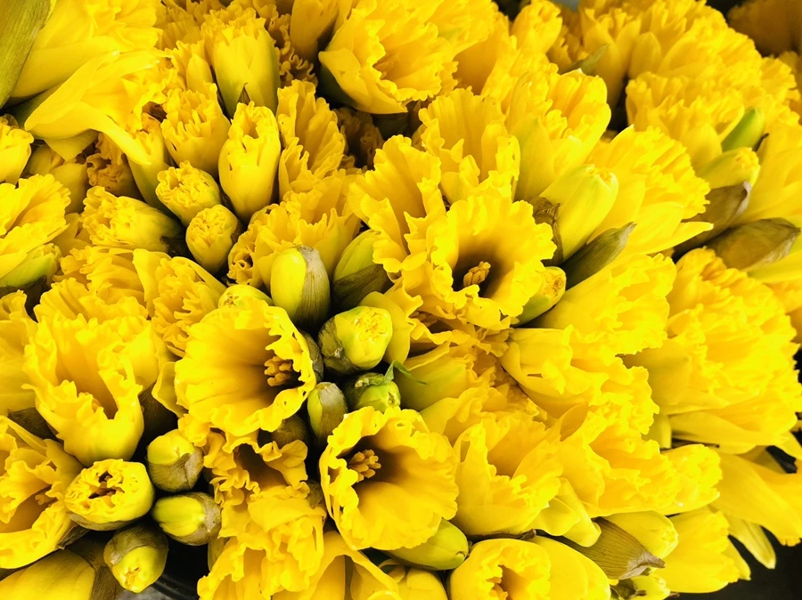 IMG_1692.jpg?type=w966