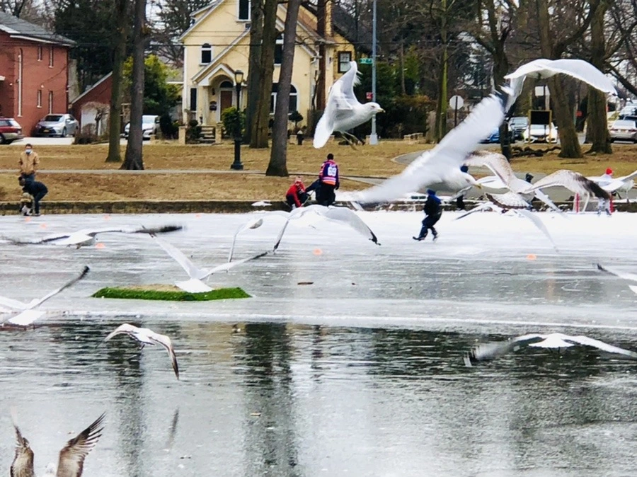 E8dYGCWmANUvgGR61FX0Bws6YRA