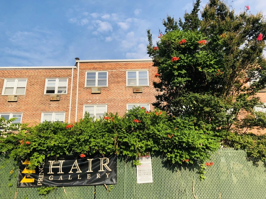 IMG_4523.jpg?type=w966