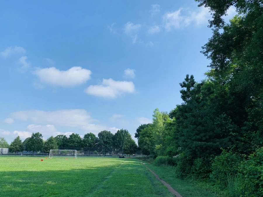 IMG_3880.jpg?type=w966