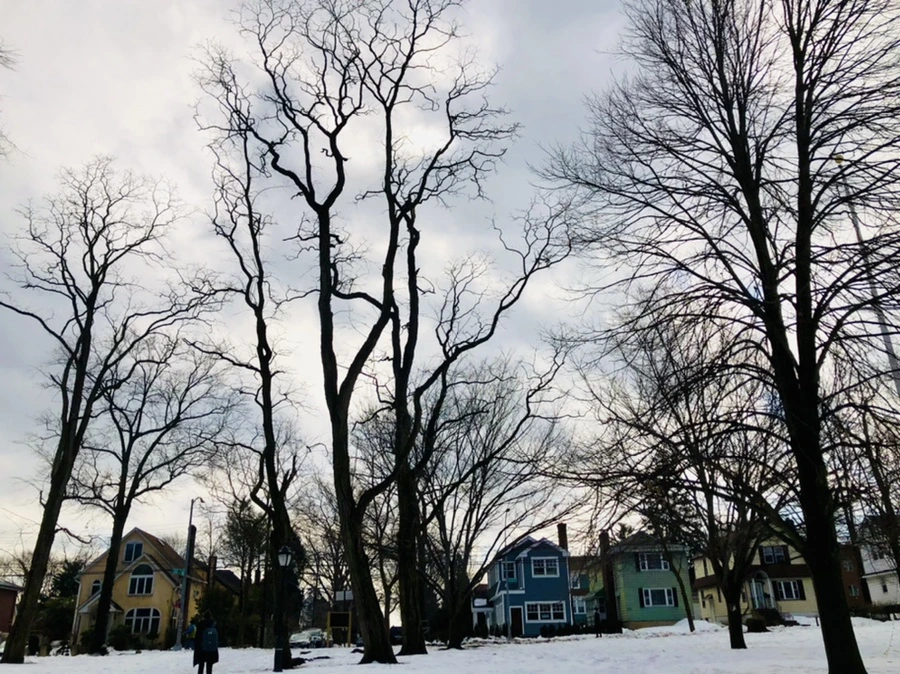 IMG_2869.jpg?type=w966