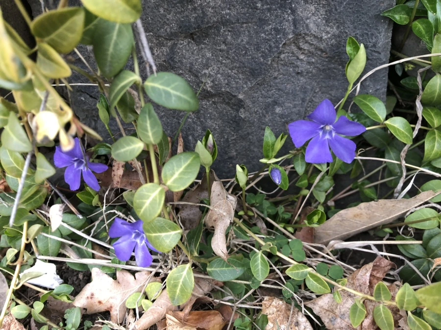 IMG_1609.jpg?type=w966