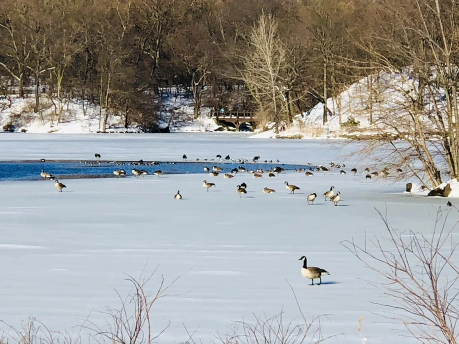 IMG_9834.jpg?type=w966