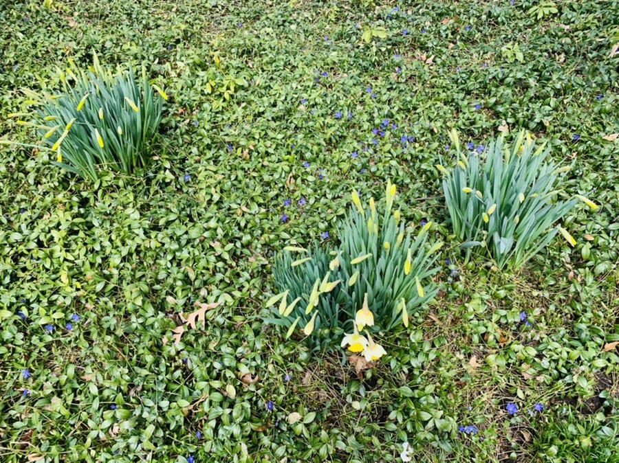 IMG_3895.jpg?type=w966