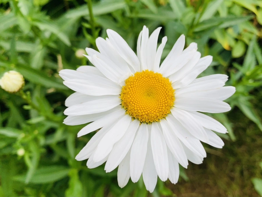 IMG_5595.jpg?type=w966