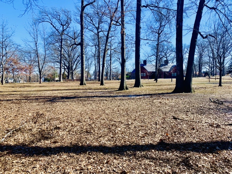 IMG_6620.jpg?type=w966