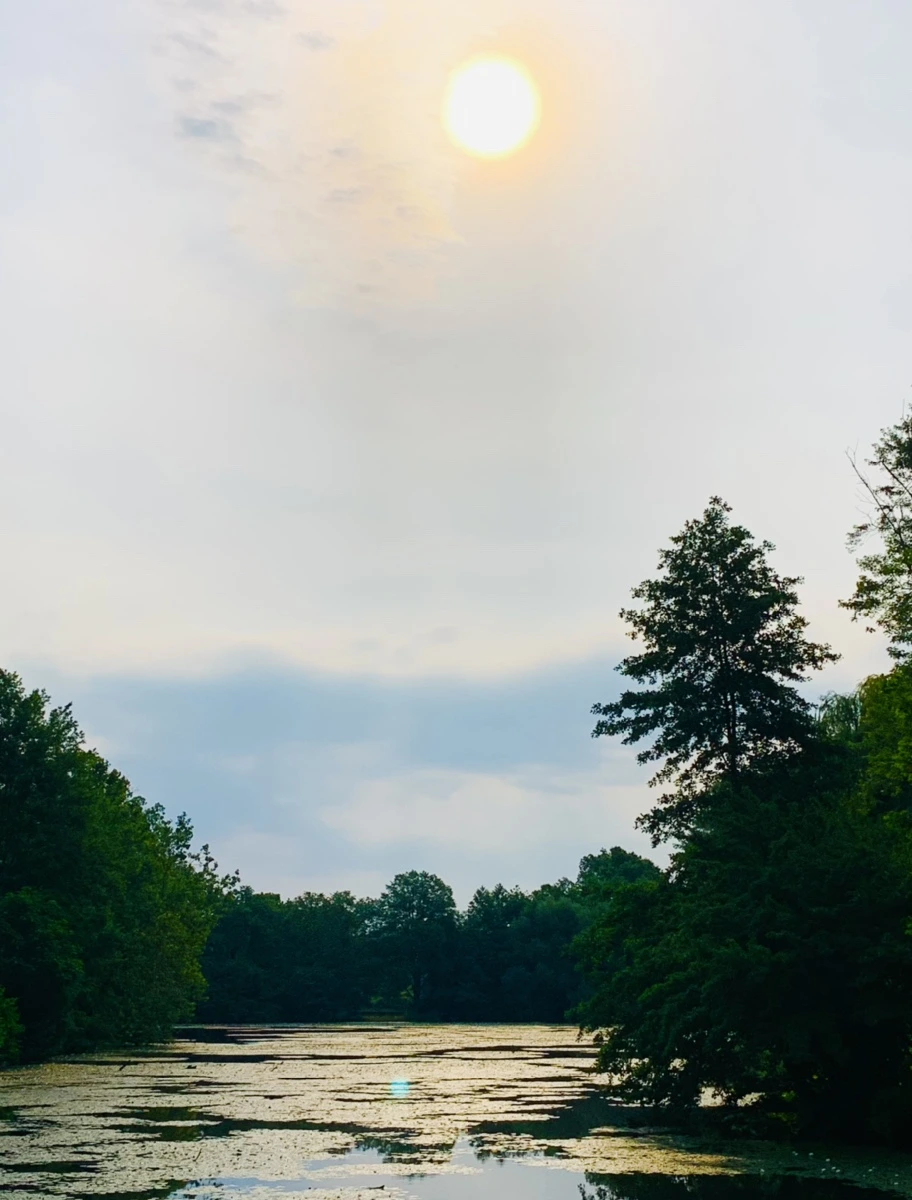 IMG_1678.jpg?type=w966