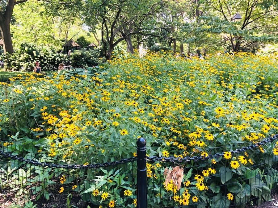 IMG_5444.jpg?type=w966