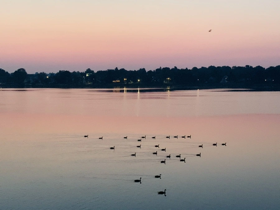 IMG_1805.jpg?type=w966