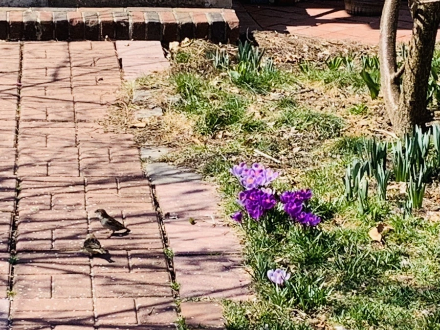 IMG_2910.jpg?type=w966