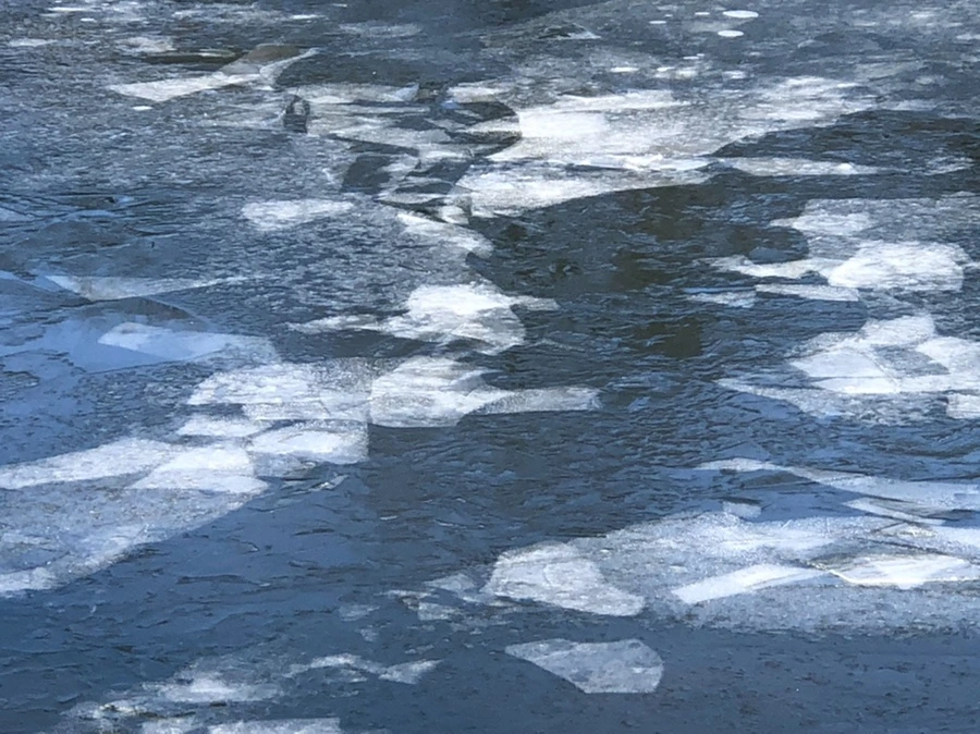 IMG_7899.jpg?type=w966