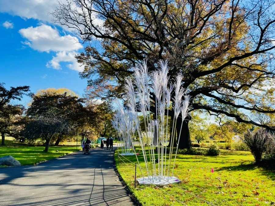 IMG_3144.jpg?type=w966